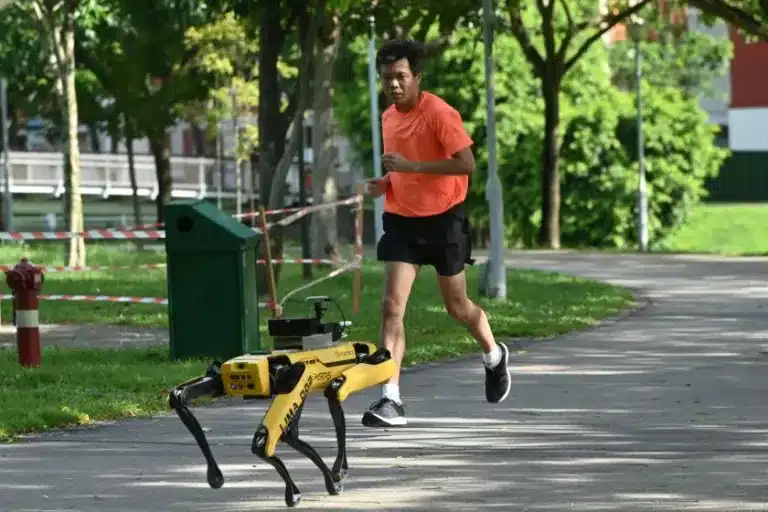 AI